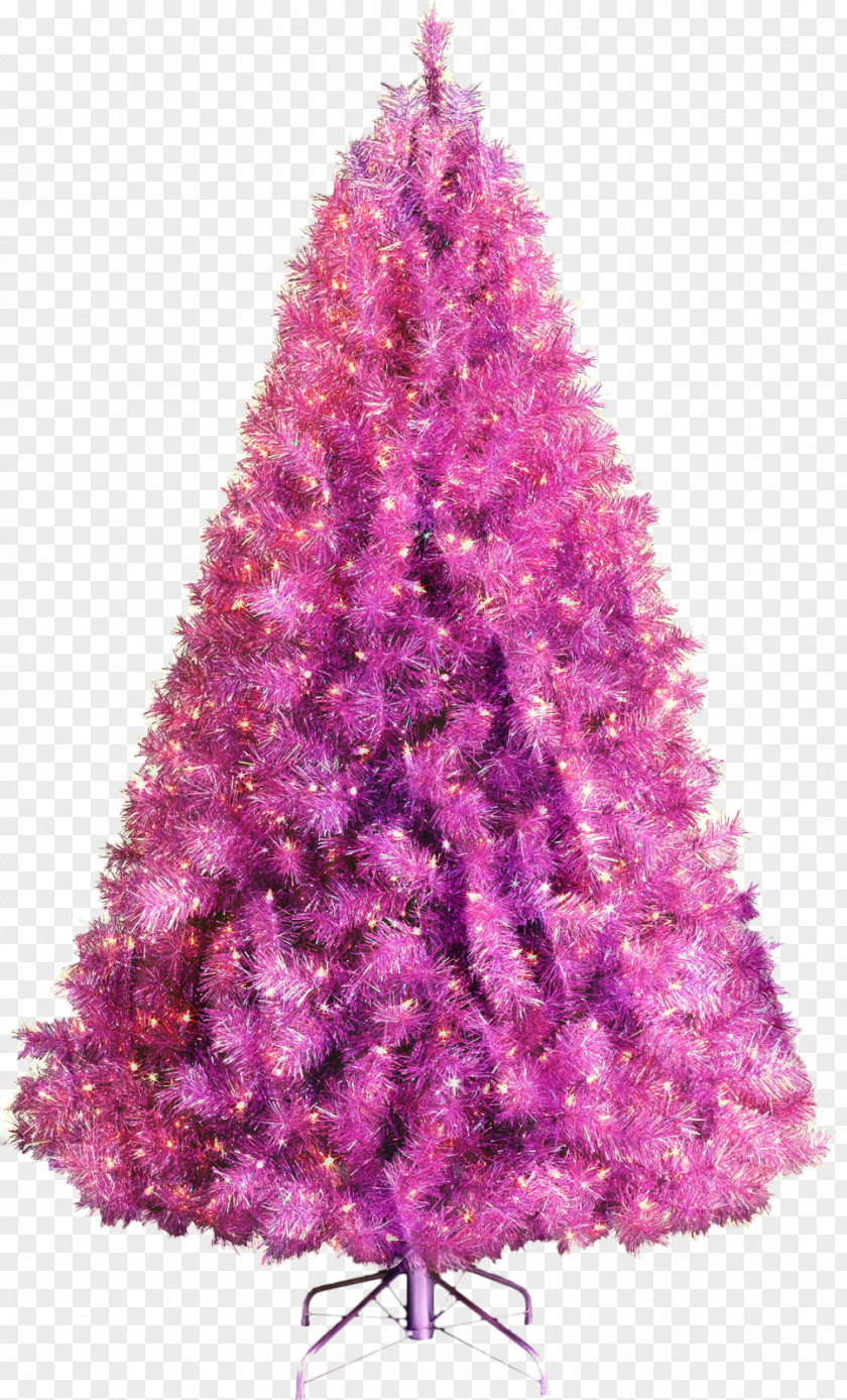 Red Pine American Larch Christmas Tree PNG