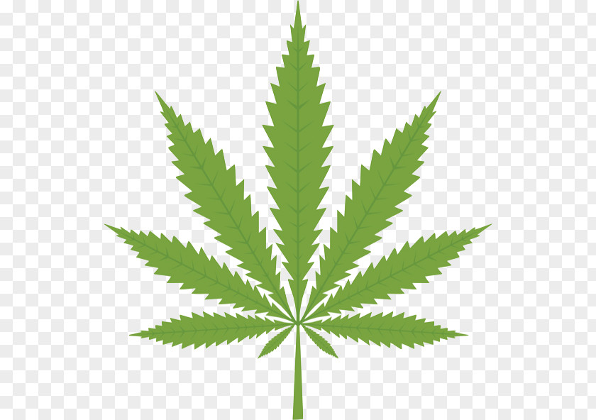 Cannabis Clip Art PNG