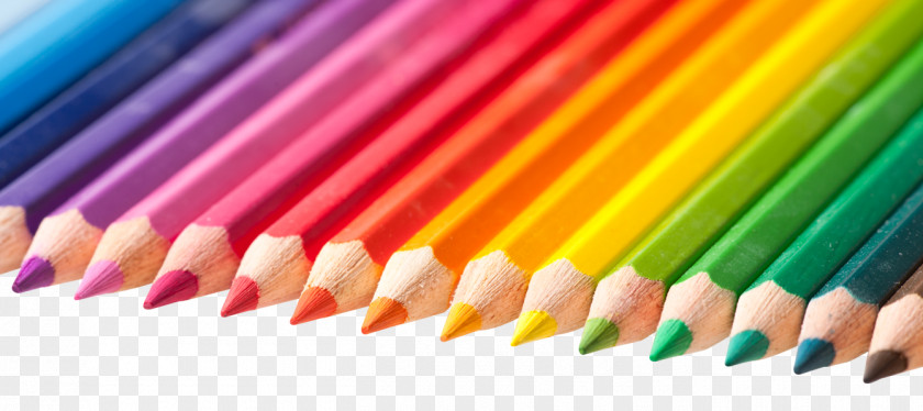 Color Pencils Colored Pencil Crayon PNG