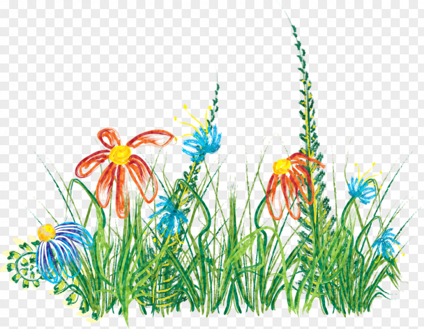 Design Floral Meadow Desktop Wallpaper Wildflower PNG