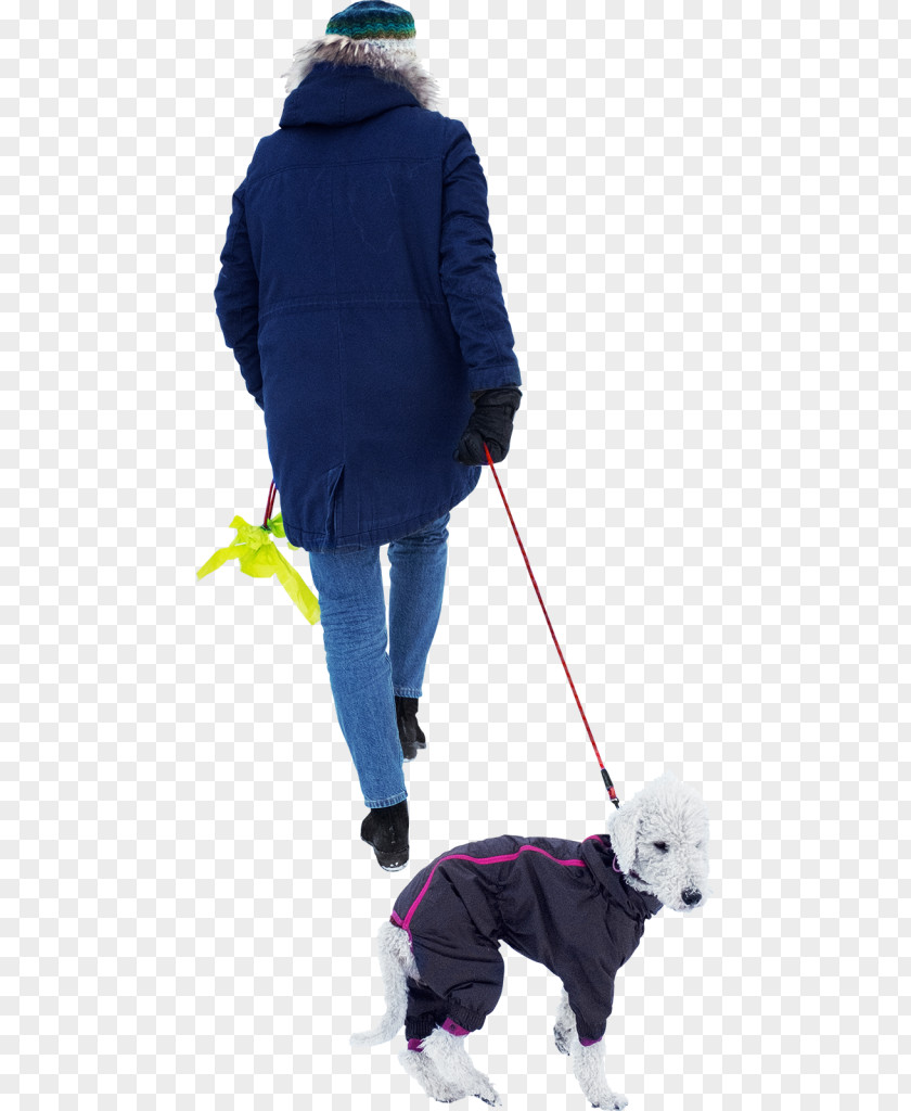 Dog Walking PNG