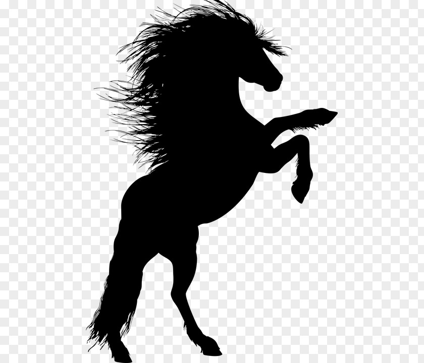 Horse Unicorn Legendary Creature Silhouette PNG