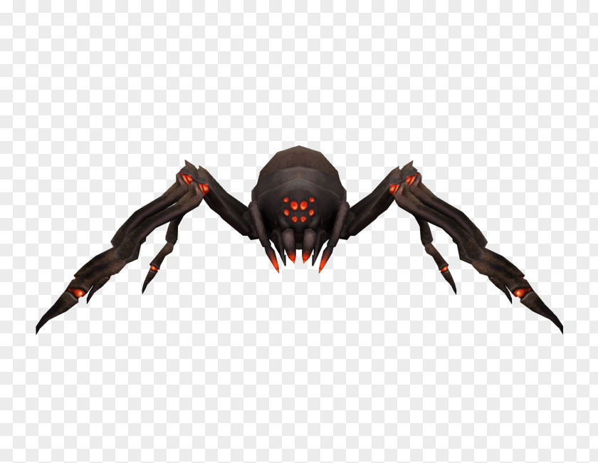 Insect Arachnid Decapoda PNG