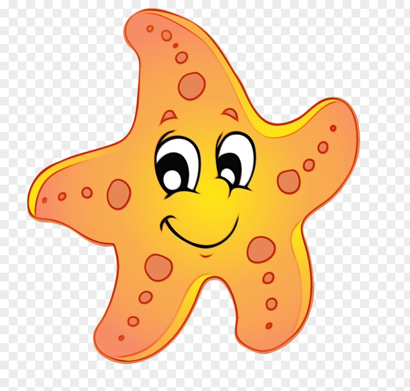Marine Invertebrates Star Cartoon Starfish PNG