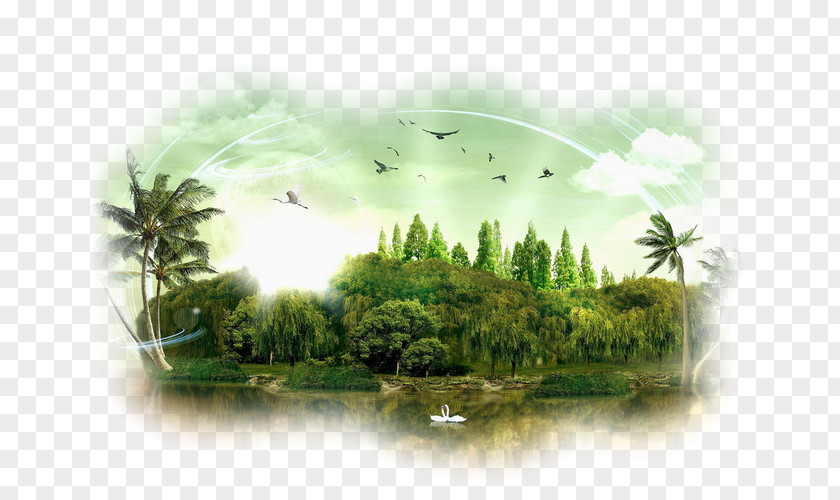 Remote Desktop Wallpaper Terra Ausente PNG