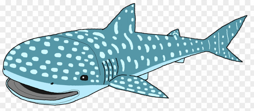 Big Shark Requiem Sharks Whale Cetaceans Clip Art PNG