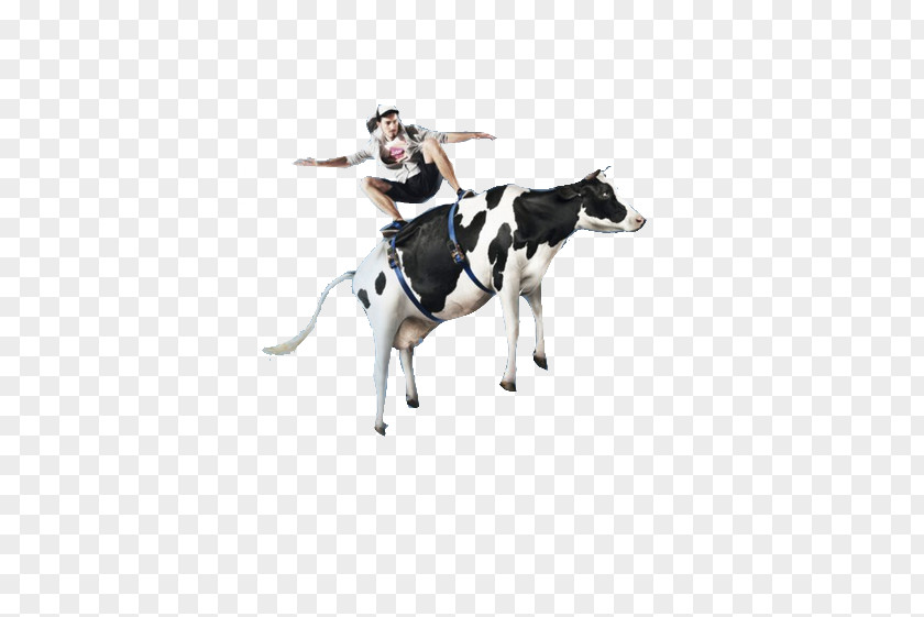 Cow Creative Design Cattle Creativity Designer PNG