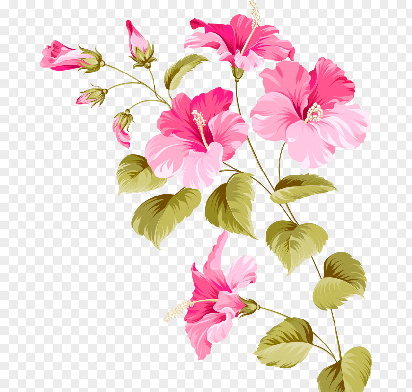 Flowers Flower Hibiscus Euclidean Vector Plant PNG