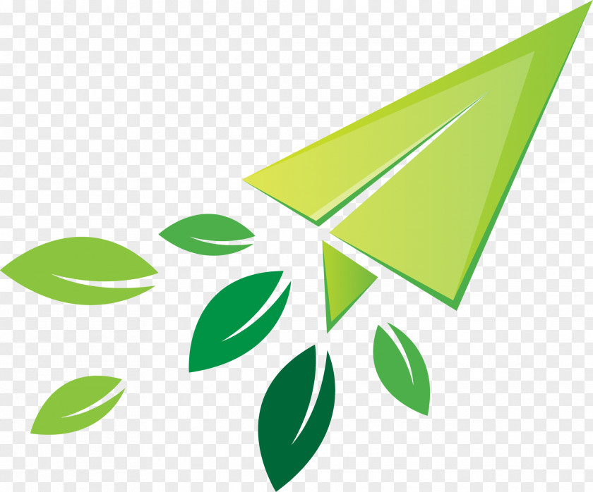 Mountain Houseleek Design Image Logo Paper Plane PNG