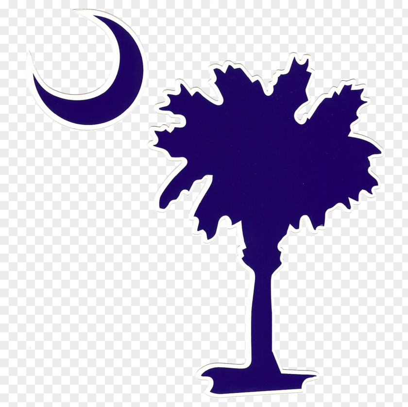 Sabal Palm Flag Of South Carolina Arecaceae Crescent, Tree PNG
