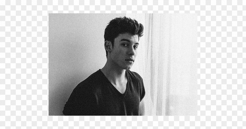 Shawn Mendes Photography Portrait DeviantArt Male PNG