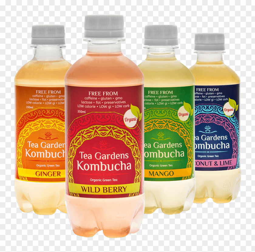 Tea Kombucha Green Organic Food Juice PNG