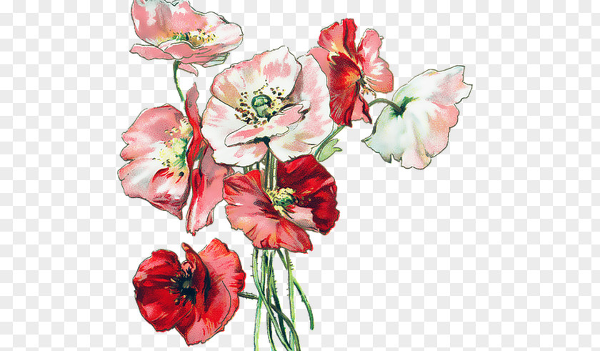 Flower Bouquet Poppy Floral Design Wildflower PNG