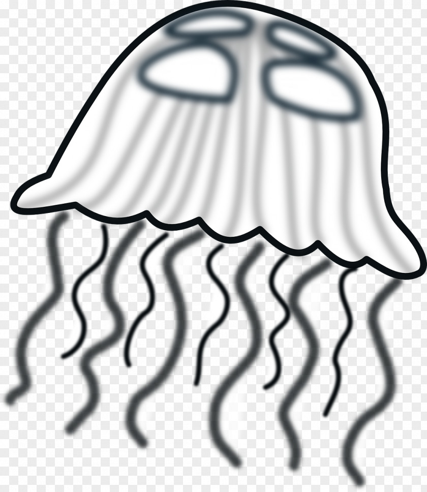 Jelly Jellyfish Drawing Cartoon Clip Art PNG