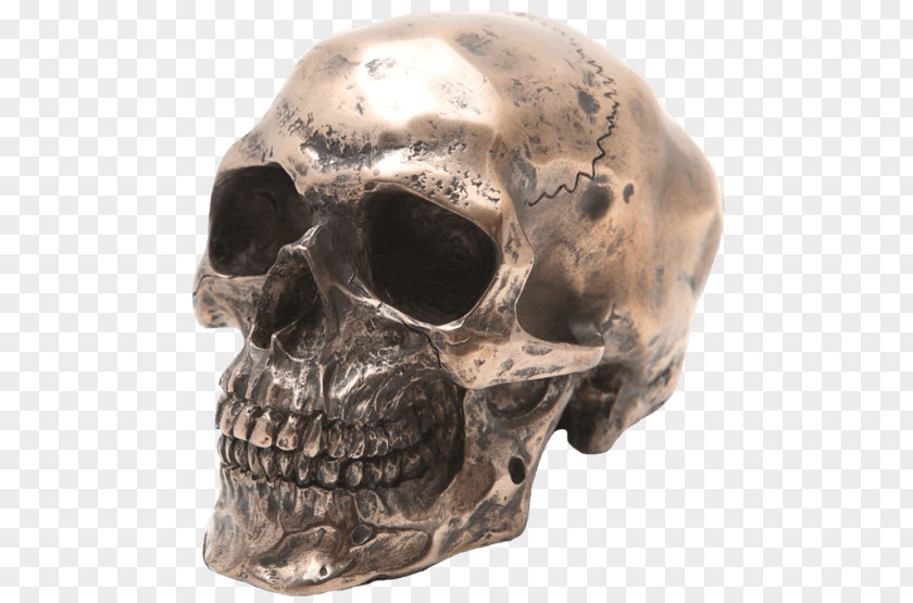 Skull Figurine Human Skeleton Sculpture Resin Casting PNG
