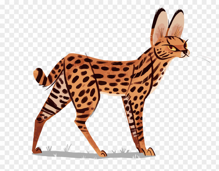 Vector Leopard Cat Ocelot Cheetah Serval Illustration PNG