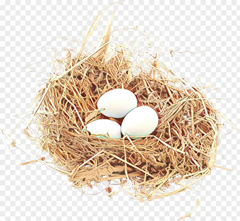 Bird Nest Egg PNG