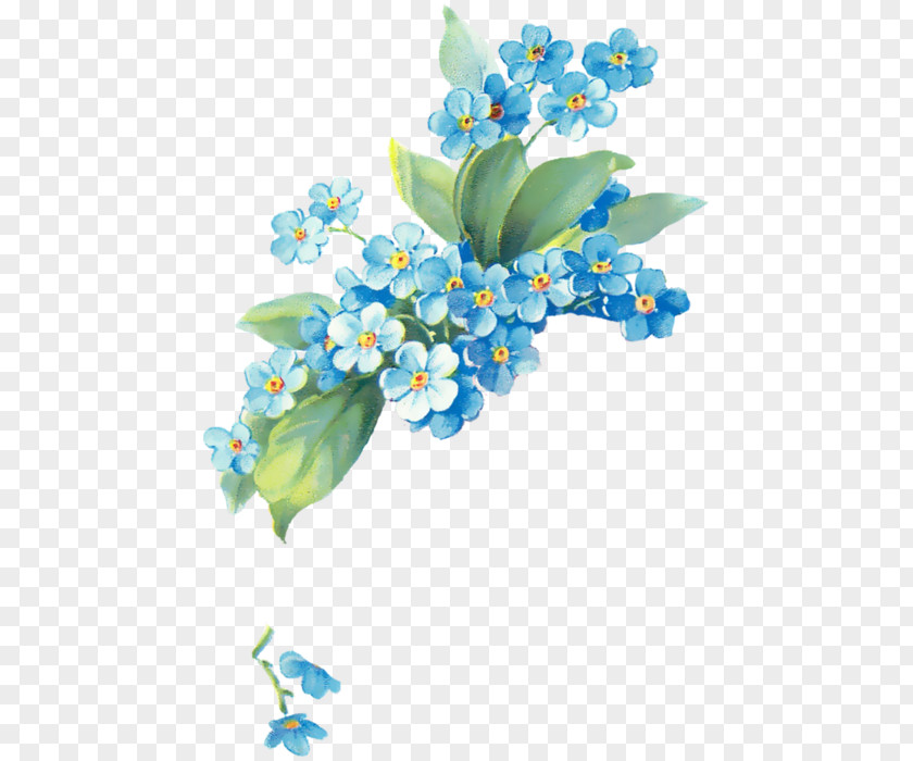 Design Flower Floral Google Images PNG