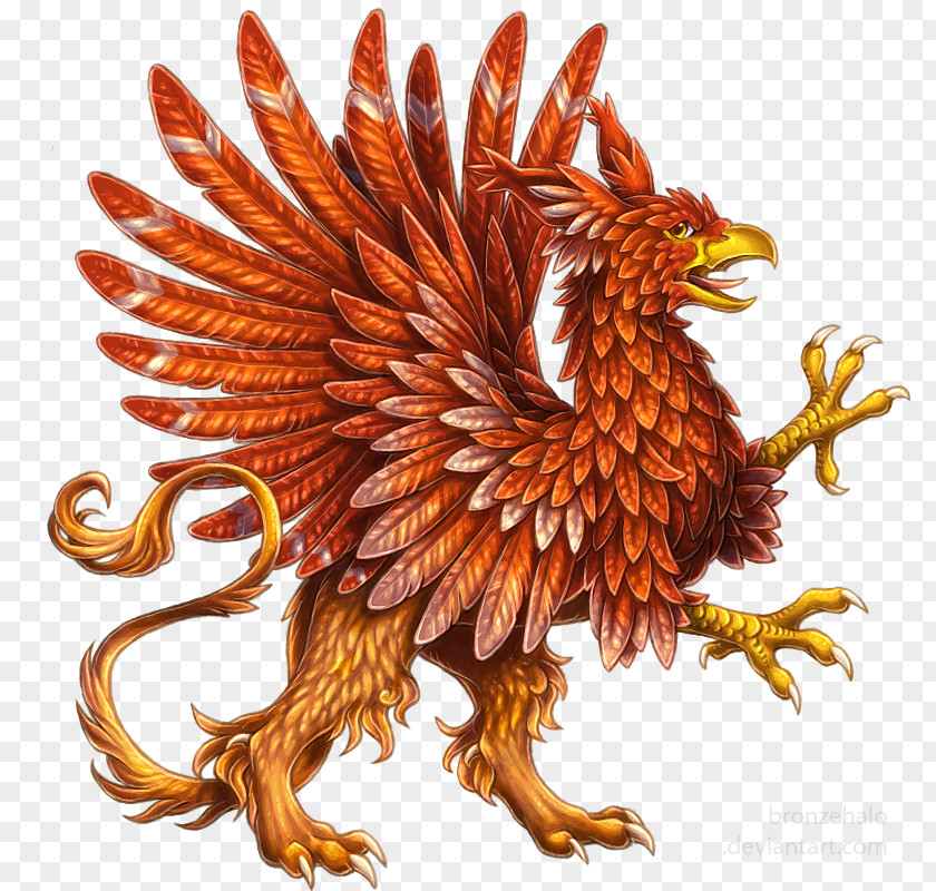 Griffin Rooster Heraldry Dragon Digital Art PNG