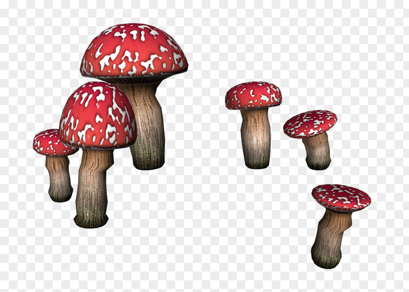 Mushroom Human Feces PNG