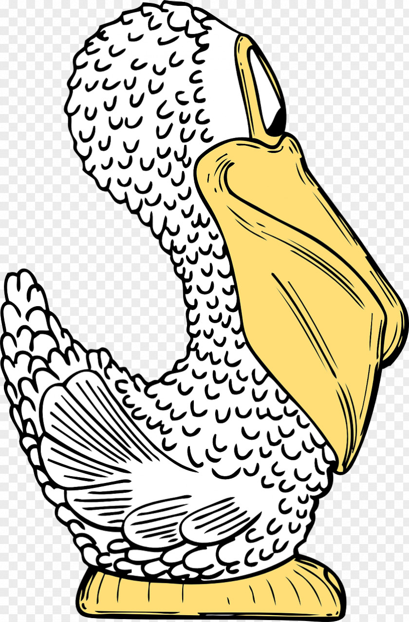 Toucan Pelican Beak Clip Art PNG