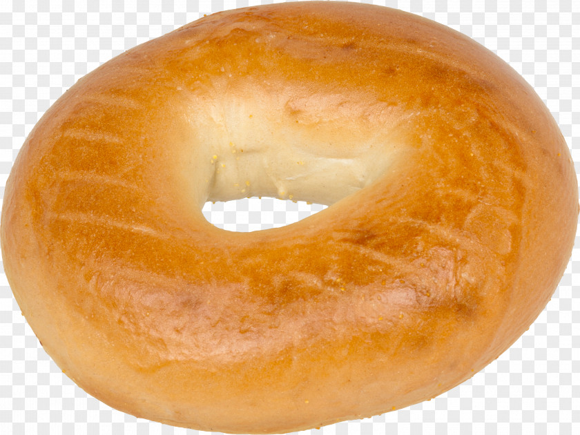 Bagel PNG Toast Doughnut Murray's Bagels Bun PNG