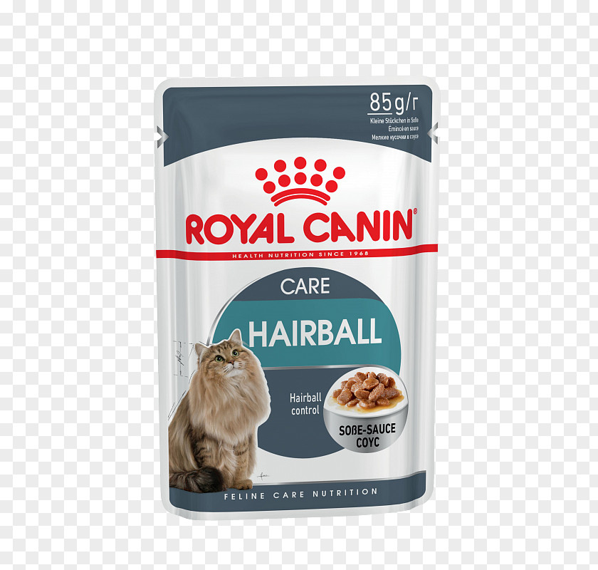 Cat Food Dog Kitten Hairball PNG