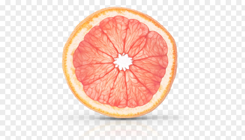 Grapefruit PNG clipart PNG