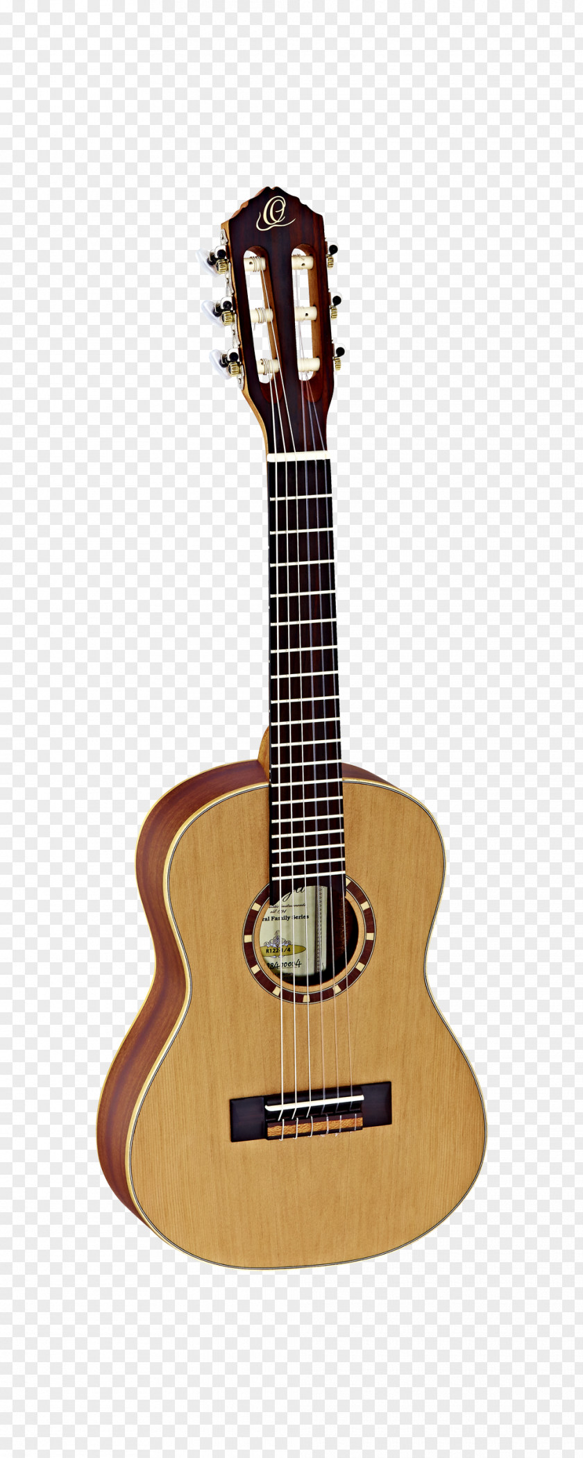 Guitar Steel-string Acoustic C. F. Martin & Company Classical PNG
