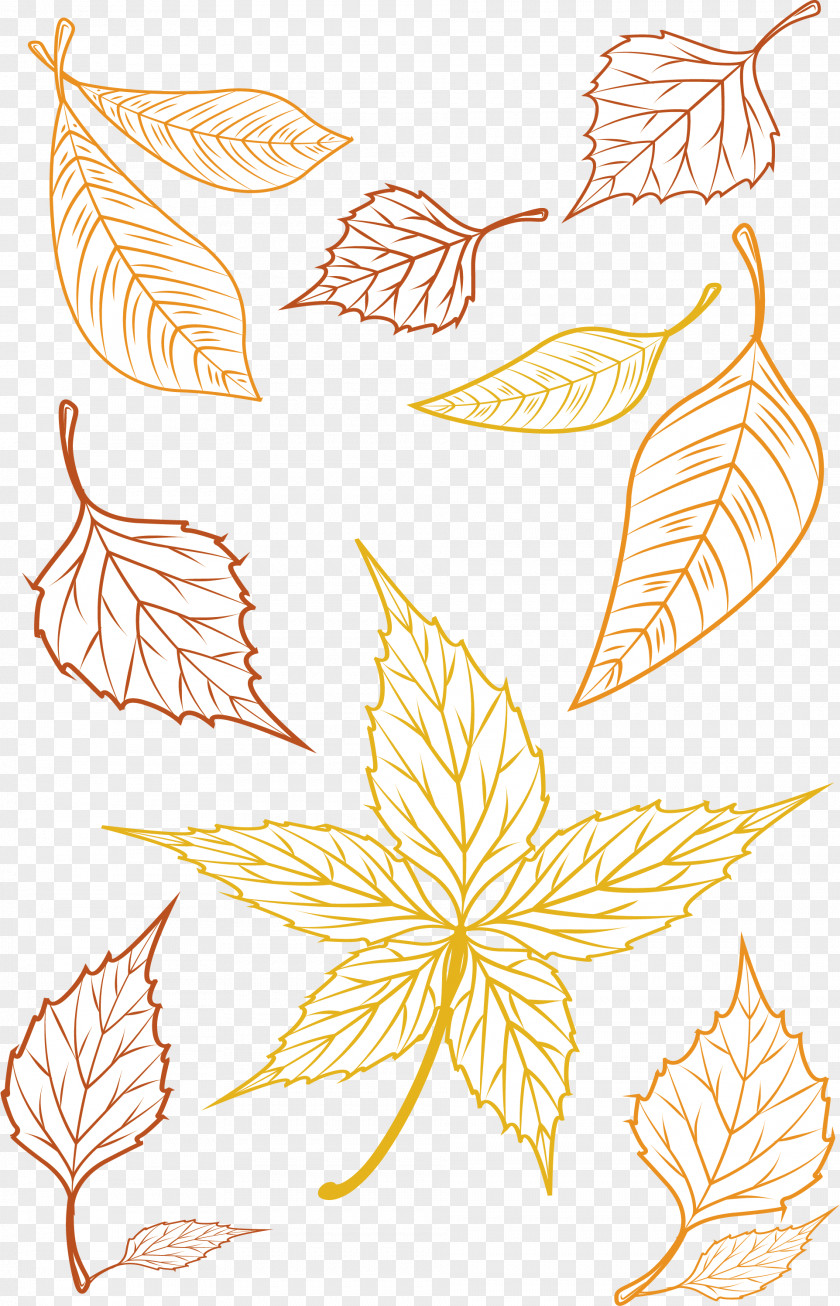 Hand Painted Autumn Leaves Deciduous Clip Art PNG