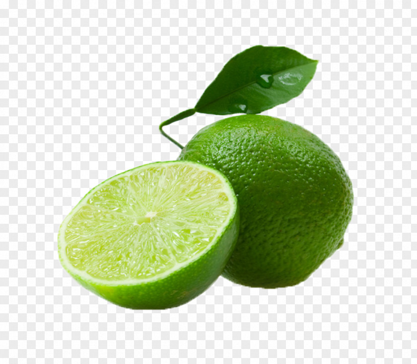 Lemonlime Food Persian Lime Key Fruit Citrus PNG