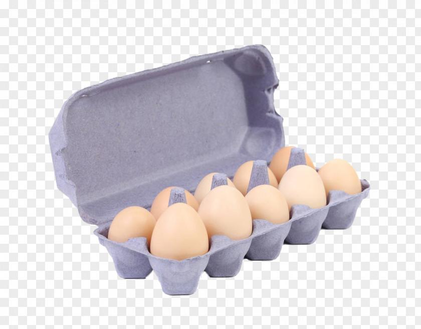 Paddle Egg Box Paper Chicken Carton PNG