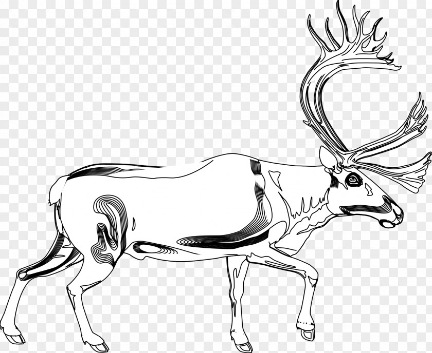 Reindeer Line Art Antelope Drawing Antler PNG