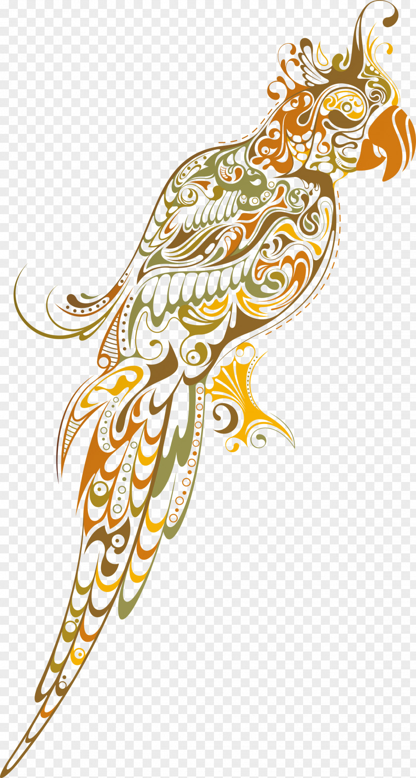 White Parrot Drawing Photography PNG