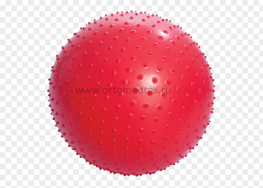 Ball Exercise Balls Gymnastics Fitness Centre Physical PNG