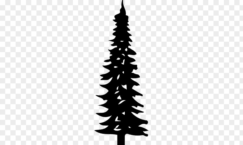 Christmas Tree Spruce Ornament Malaysia Pine PNG