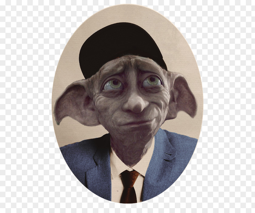 Dobby The House Elf House-elf Snout PNG