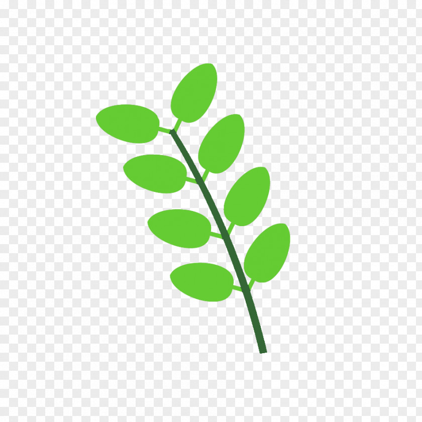 Leaf Plant Stem Line Branching Clip Art PNG