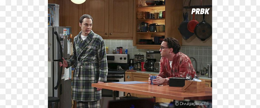 Season 9 Television ShowRuy Bang Sheldon Cooper Leonard Hofstadter Penny The Big Theory PNG