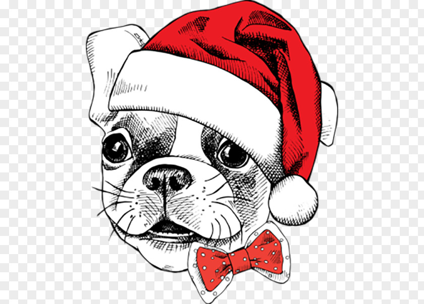 Celebrate Christmas Dog Santa Claus Breed Puppy PNG