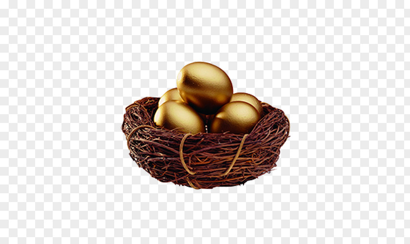 Golden Eggs Chinese Zodiac Zhu0113ngyuxe8 Money PNG