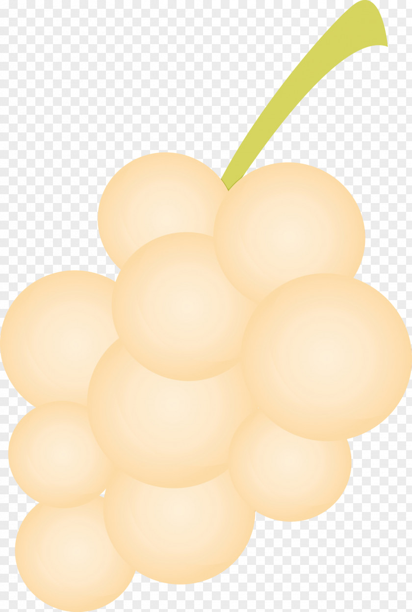 Lighting Fruit PNG