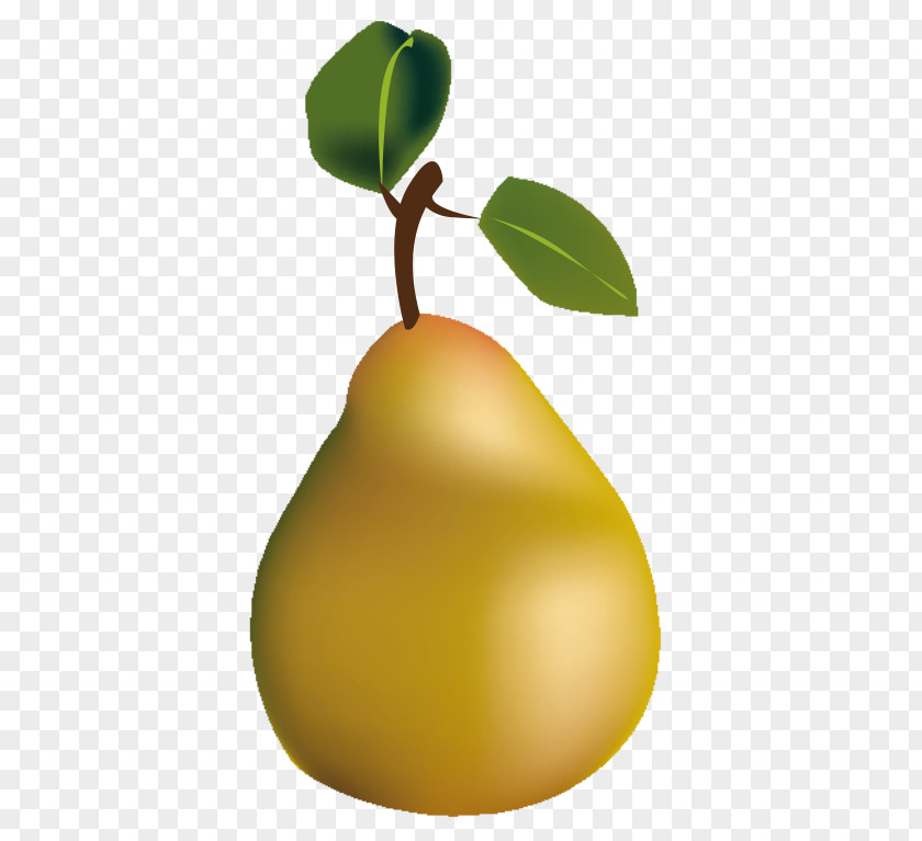 Pear Wikimedia Commons Desktop Wallpaper PNG