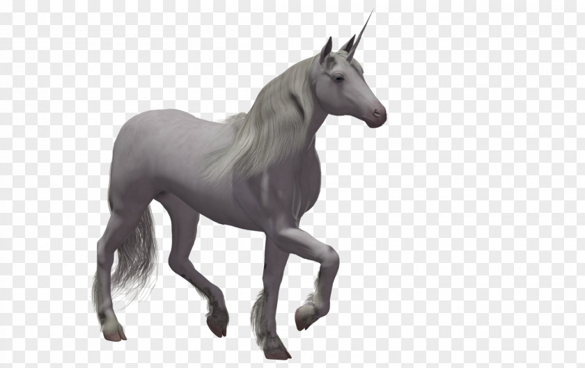 Unicorn Rendering PNG