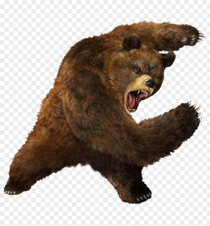 Brown Greezly Bear Image Tekken 3 Grizzly Heihachi Mishima PNG