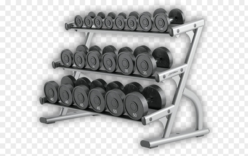 Dumbbell Barbell Exercise Equipment Fitness Centre Weight Training PNG