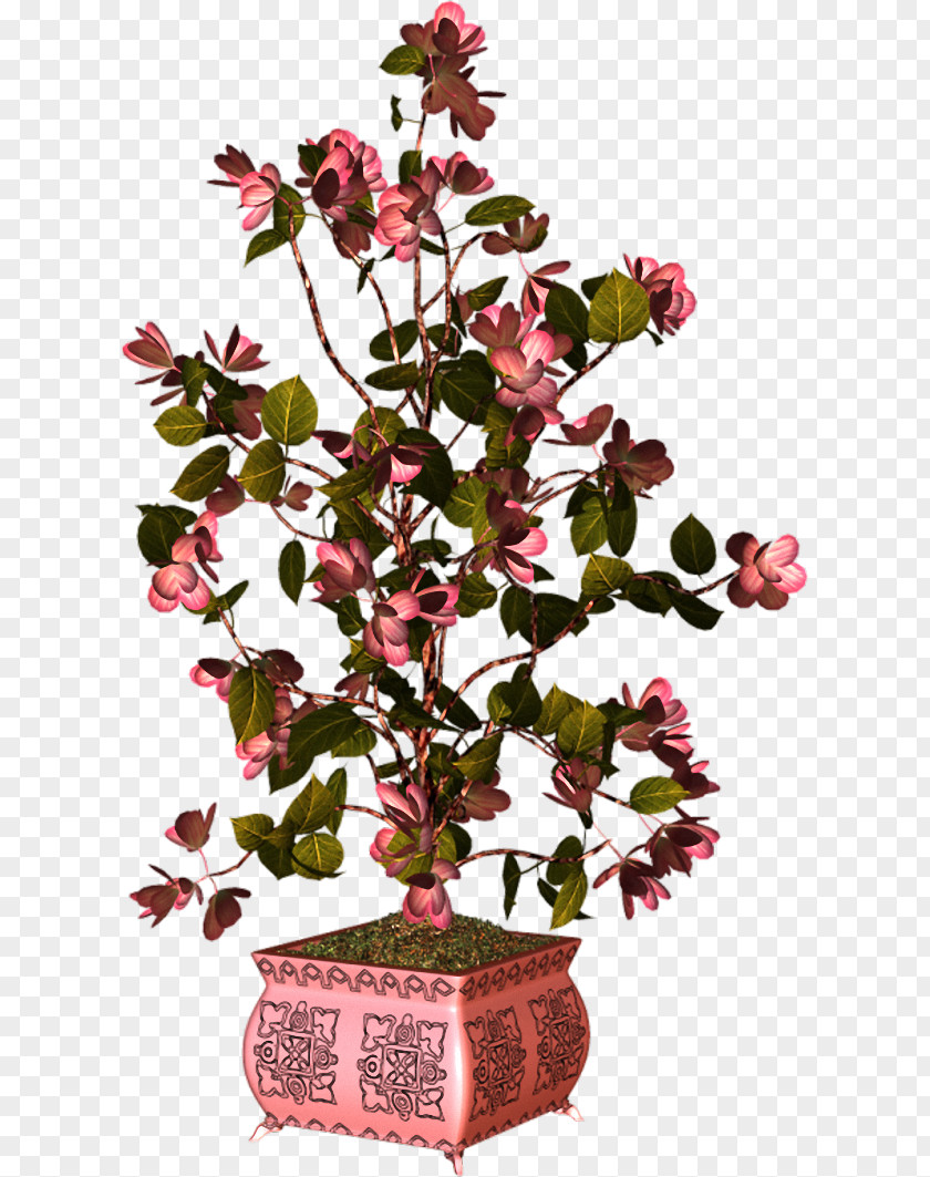 Flower Branch Flowerpot Dwarf Umbrella Tree Plant PNG