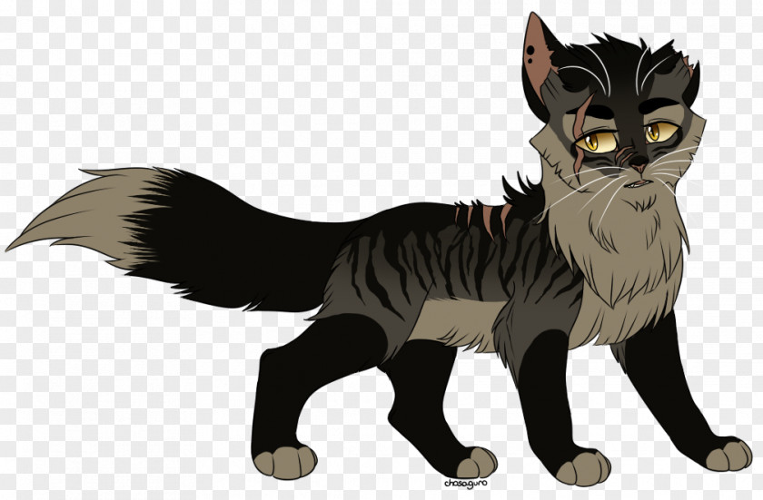 Kitten Whiskers Horse Fur Paw PNG