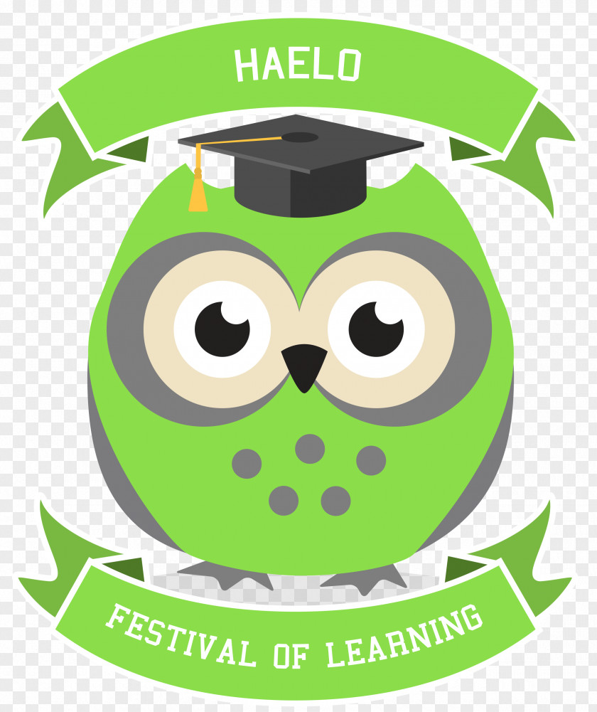 Owl Drawing PNG