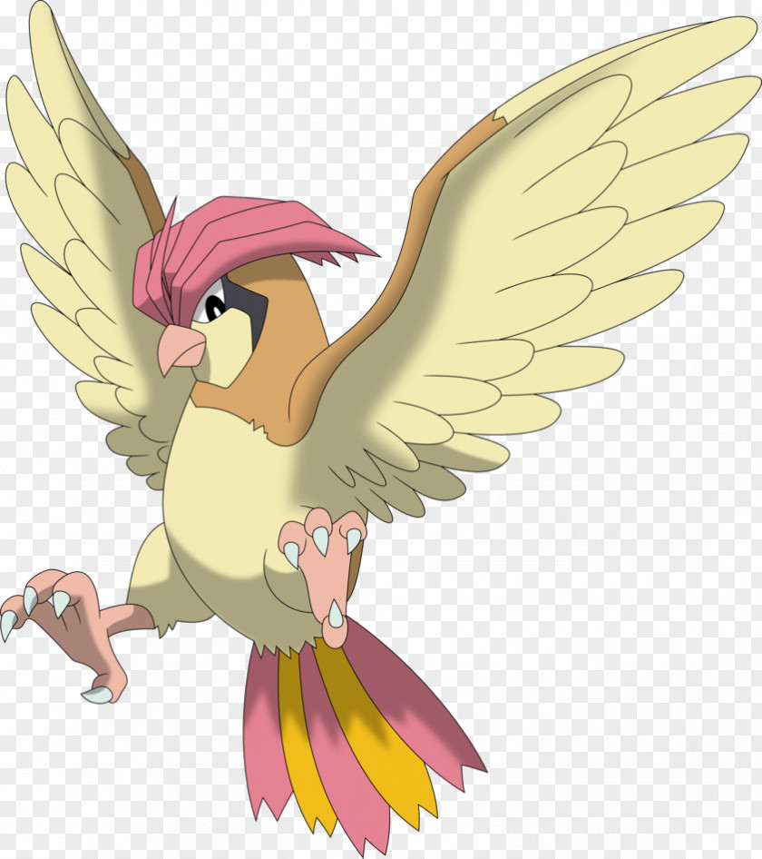 Pidgeot Pokémon Omega Ruby And Alpha Sapphire Ash Ketchum GO Yellow Pidgeotto PNG